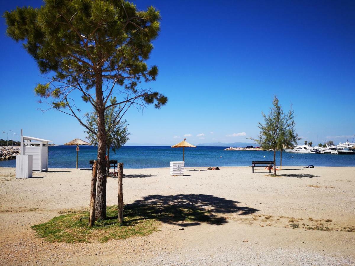 Sea&Sun Glyfada Apartment Αθήνα Εξωτερικό φωτογραφία
